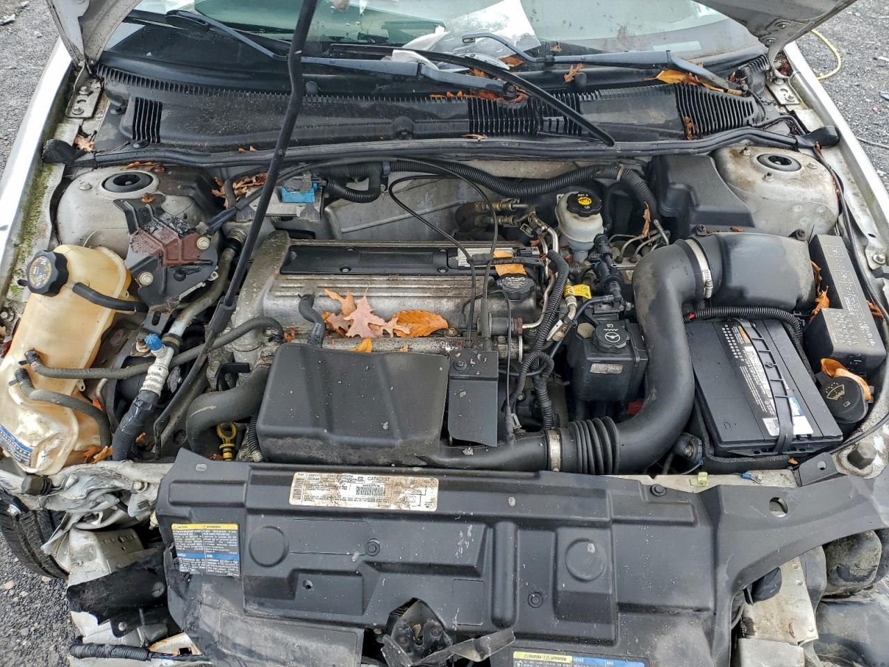 2003 Chevrolet Cavalier Ls VIN: 1G1JF12F737203465 Lot: 94319885