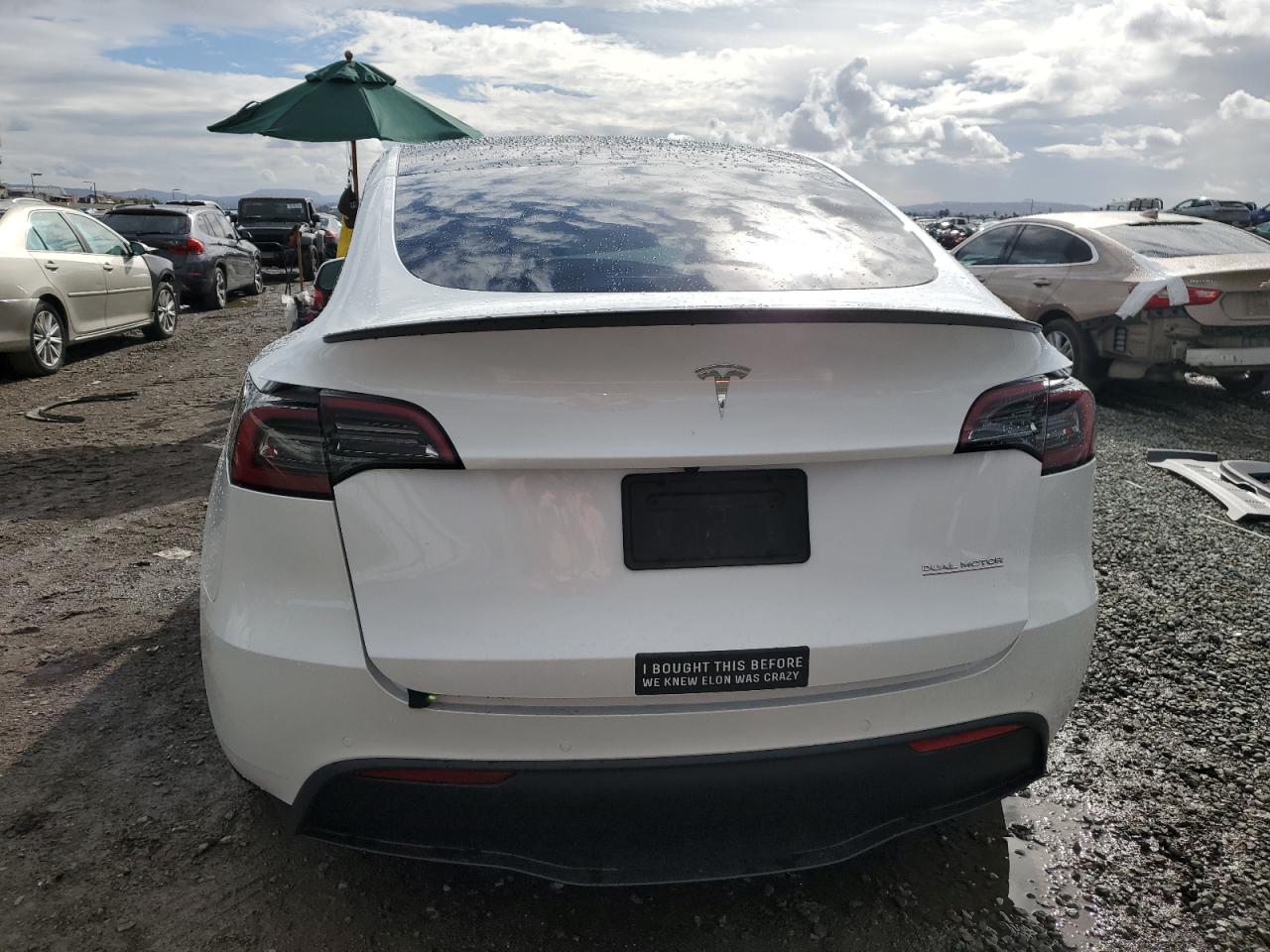 2022 Tesla Model Y VIN: 7SAYGDEF0NF487554 Lot: 93556965