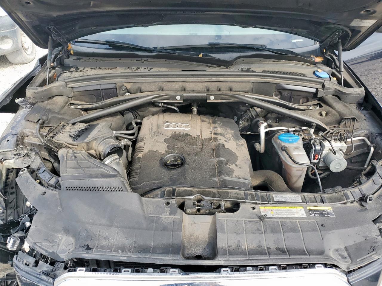 2014 Audi Q5 Premium Plus VIN: WA1LFAFP8EA124597 Lot: 92854005