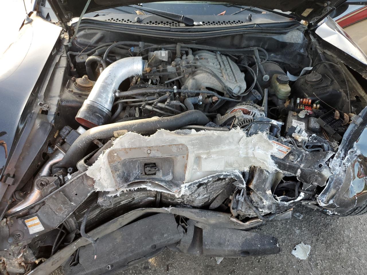 1998 Ford Mustang VIN: 1FAFP4042WF234829 Lot: 92854445