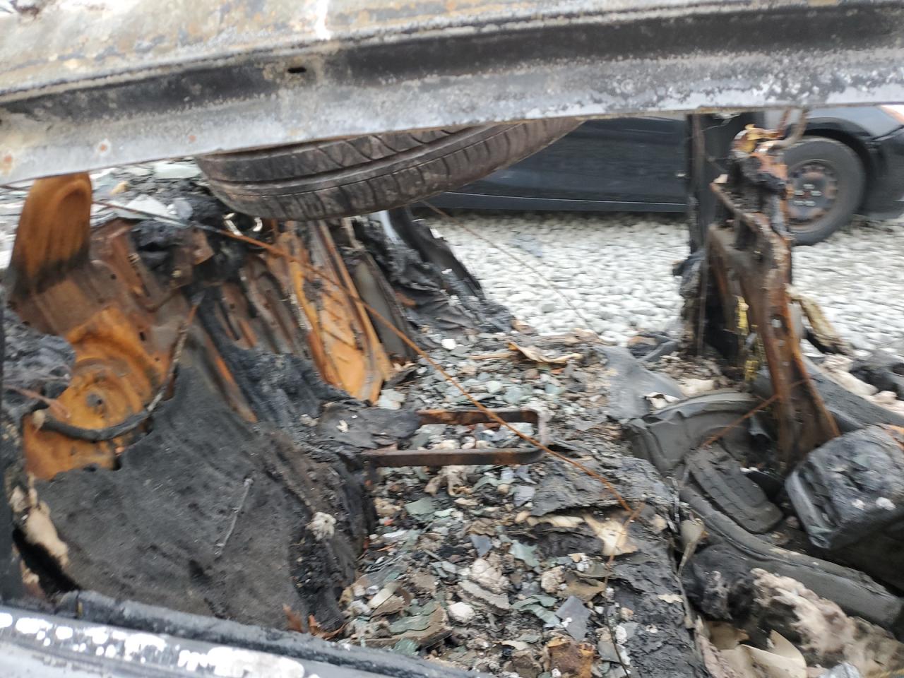 2023 Tesla Model 3 VIN: 5YJ3E1EAXPF623501 Lot: 86494255