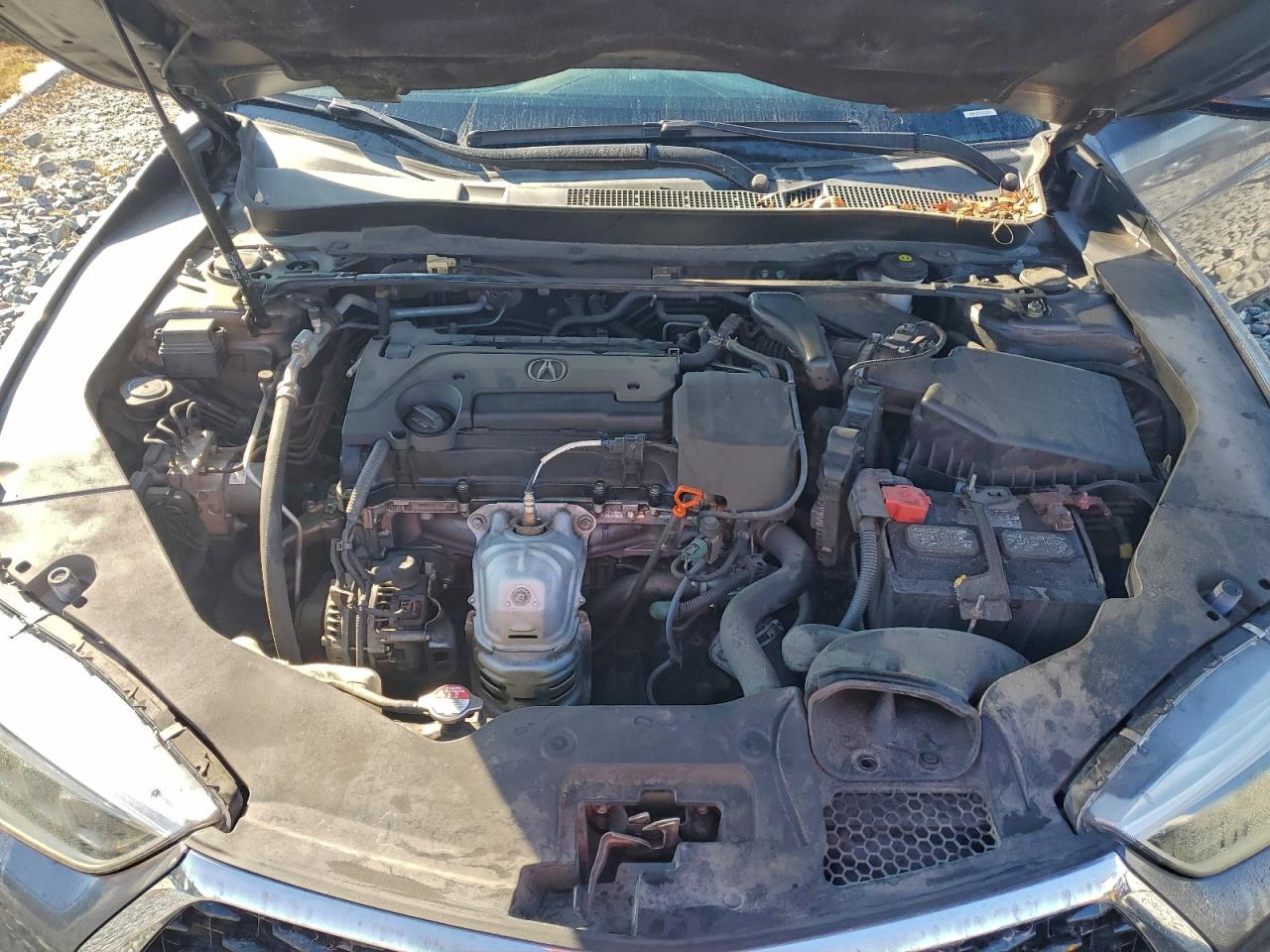 2020 Acura Tlx VIN: 19UUB1F35LA000109 Lot: 94098775