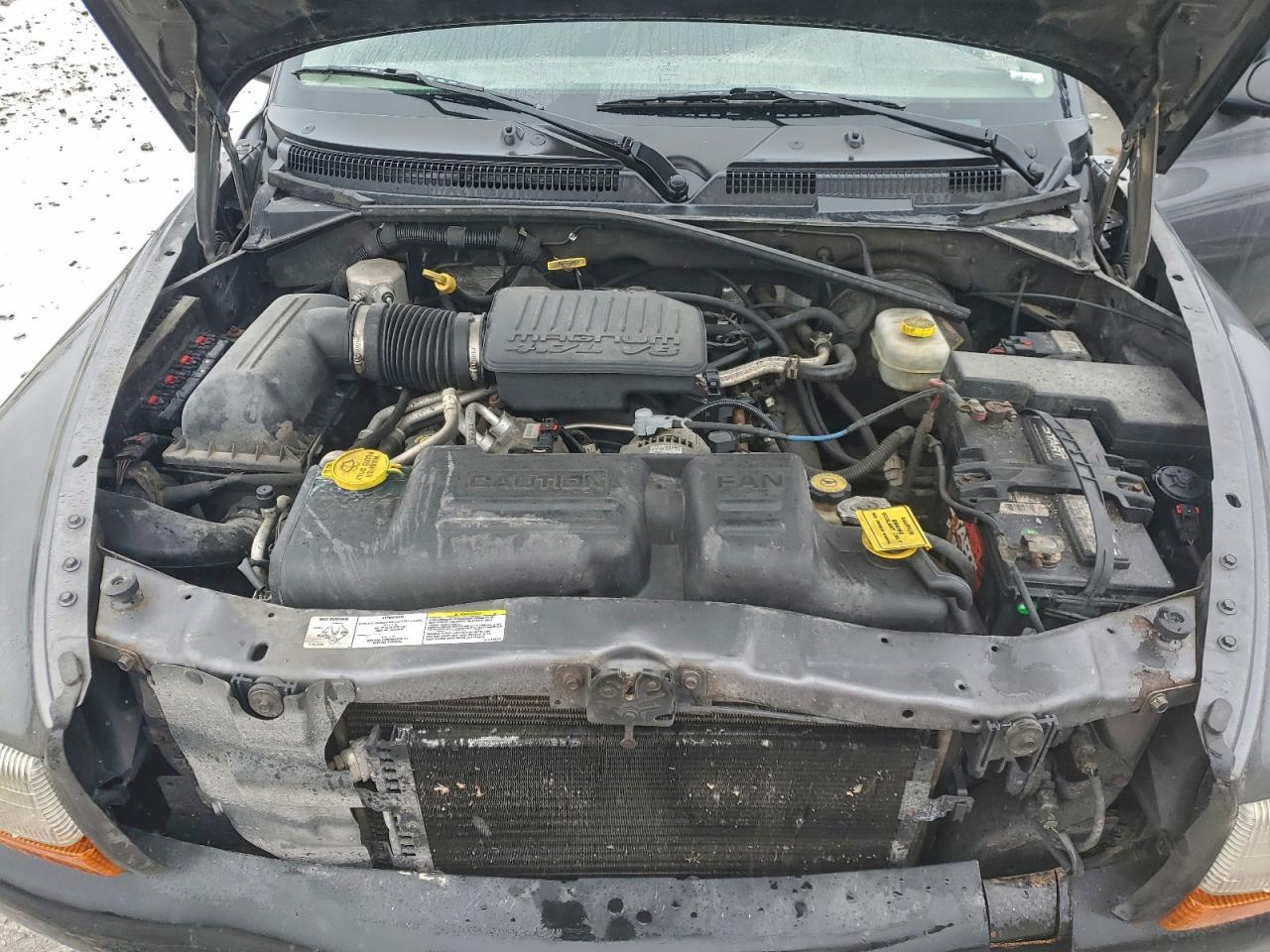 2004 Dodge Dakota Quad Sport VIN: 1D7HL38N64S573805 Lot: 93551655