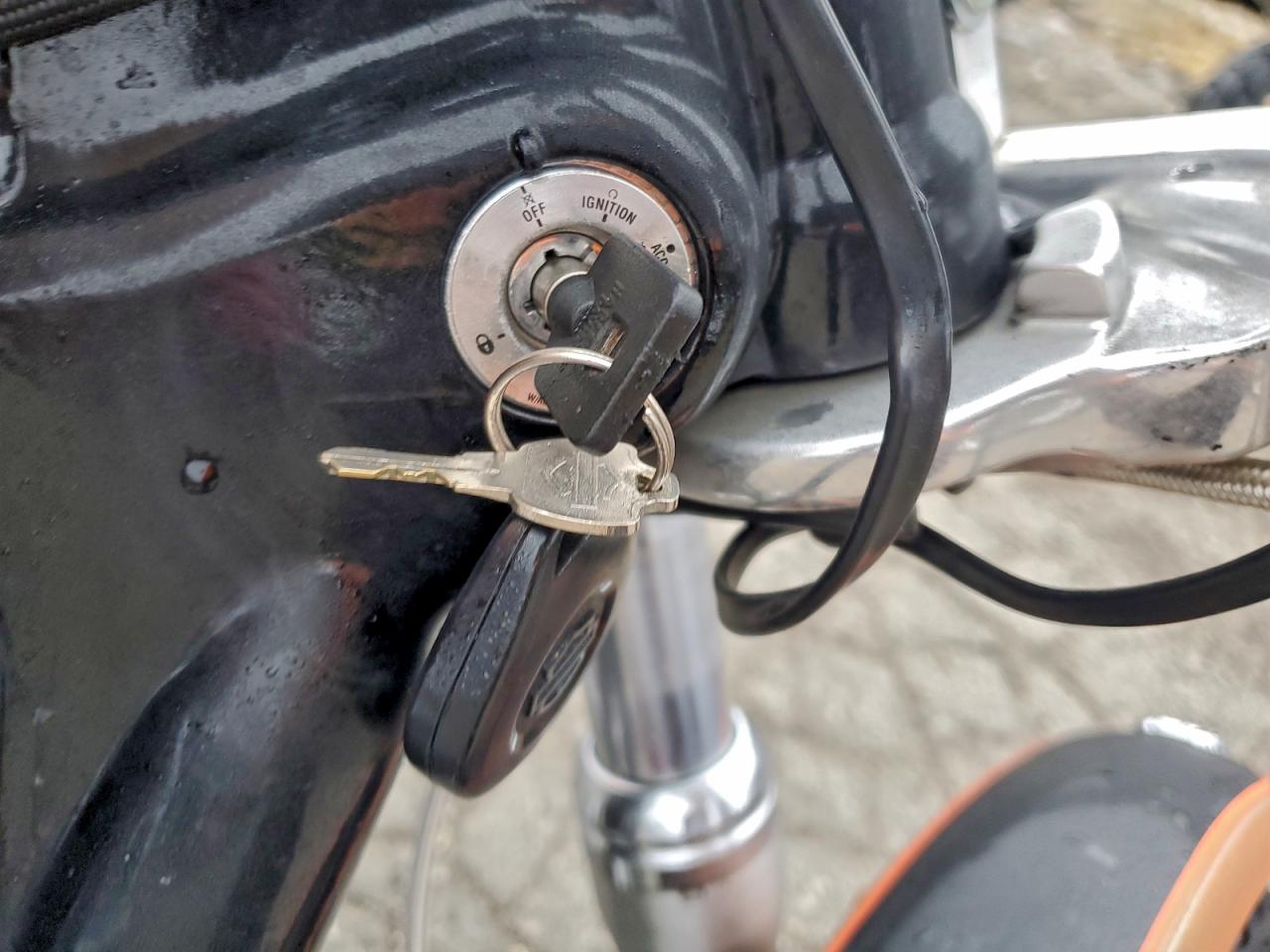 2008 Harley-Davidson Fxdl 105Th Anniversary Edition VIN: 1HD1GN4478K301146 Lot: 93935975