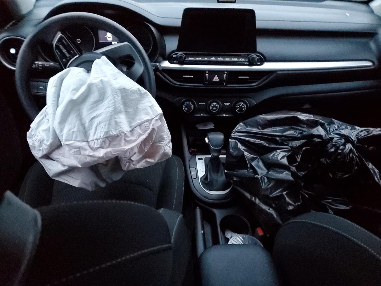 2020 Kia Forte Fe VIN: 3KPF24AD9LE202814 Lot: 94080805