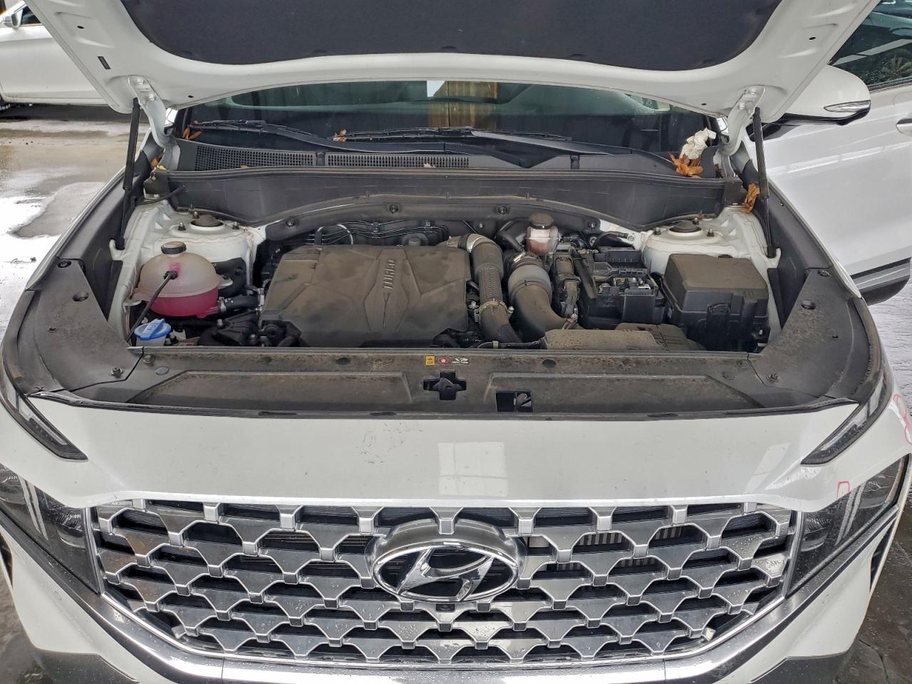 2022 Hyundai Santa Fe Limited VIN: 5NMS44AL4NH400647 Lot: 94289255