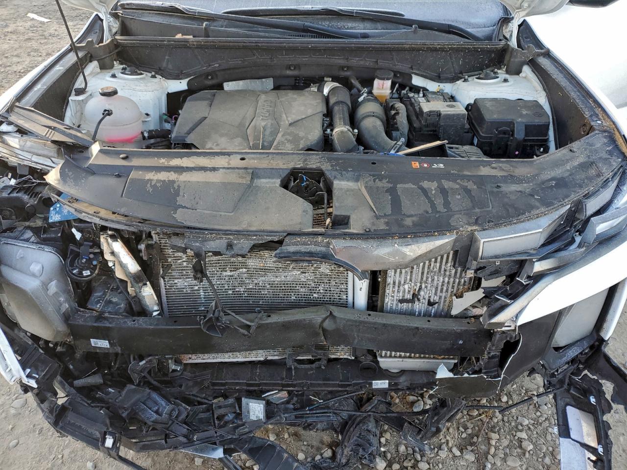 2024 Hyundai Santa Cruz Limited VIN: 5NTJEDAF3RH091105 Lot: 94170685