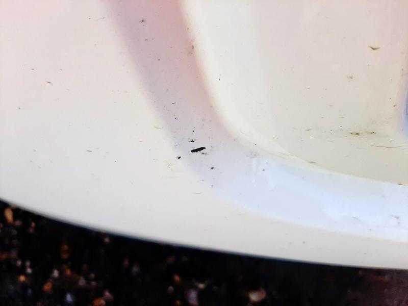 2022 FORD TRANSIT CONNECT 1.5 ECOBLUE 100PS TREND HP VAN