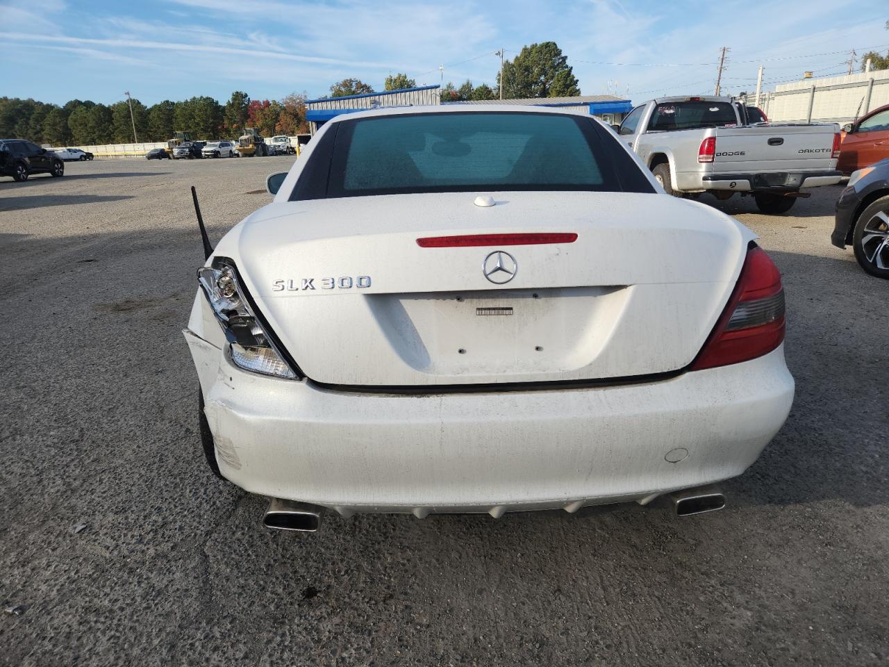 2010 Mercedes-Benz Slk 300 VIN: WDBWK5EA1AF226080 Lot: 92245965