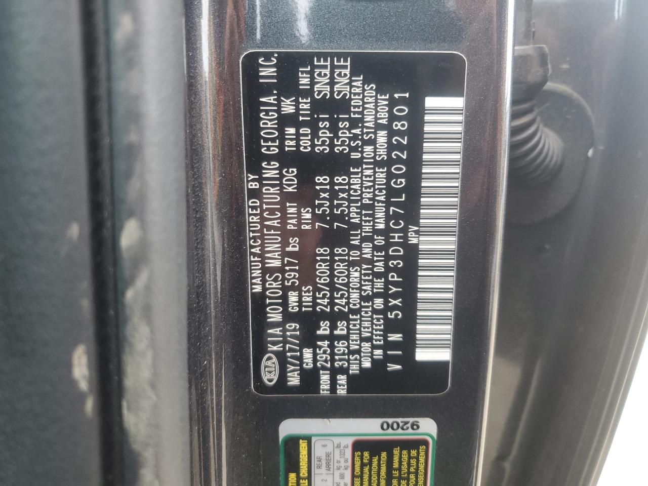 2020 Kia Telluride Ex VIN: 5XYP3DHC7LG022801 Lot: 91771635