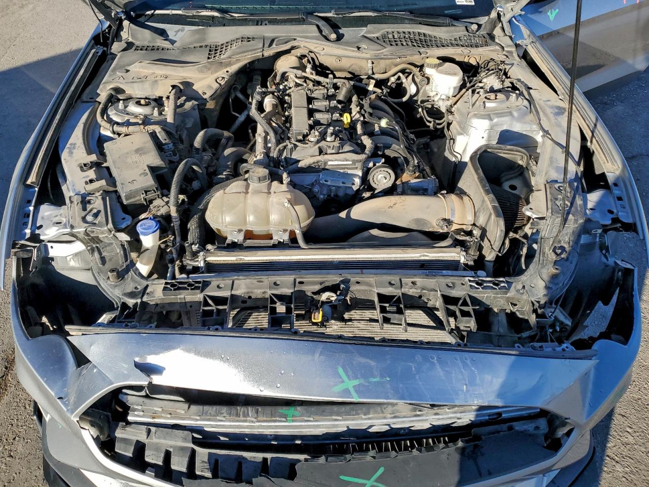 2021 Ford Mustang VIN: 1FA6P8TH7M5103582 Lot: 94179195