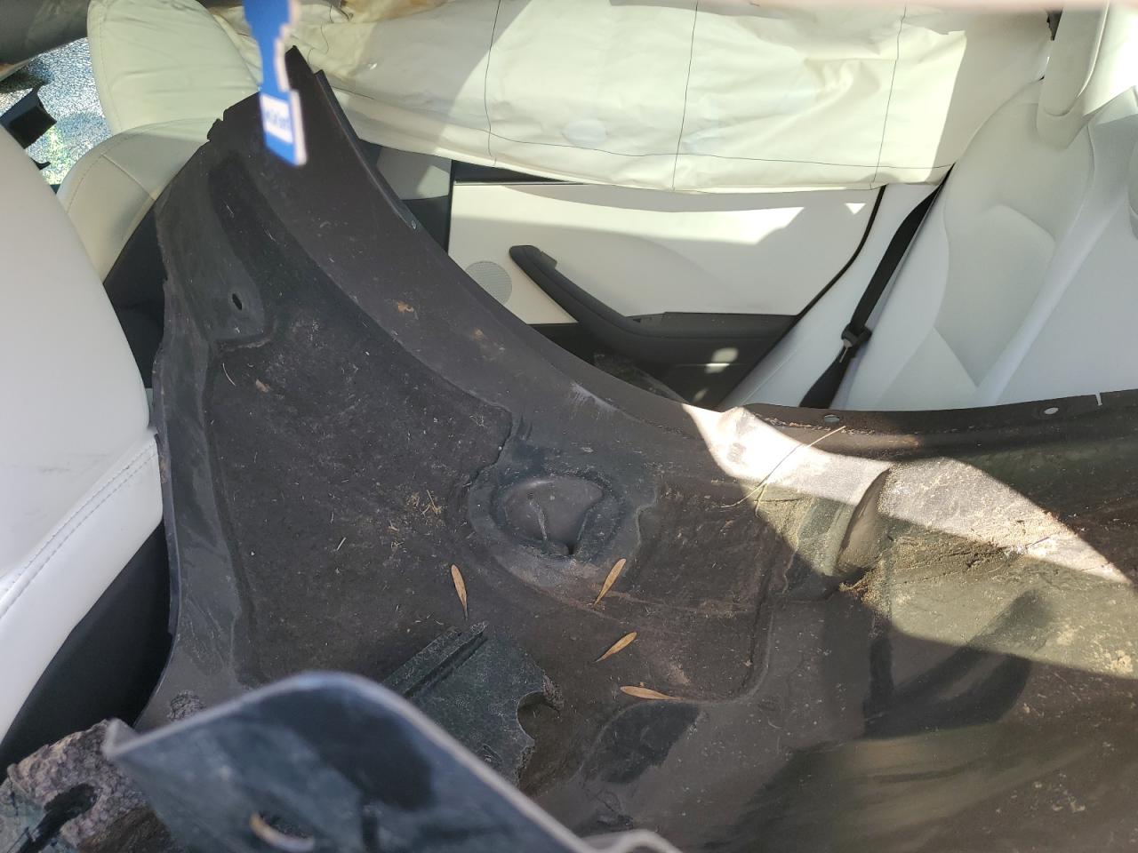 2024 Tesla Model 3 VIN: 5YJ3E1EA4RF855577 Lot: 92073755