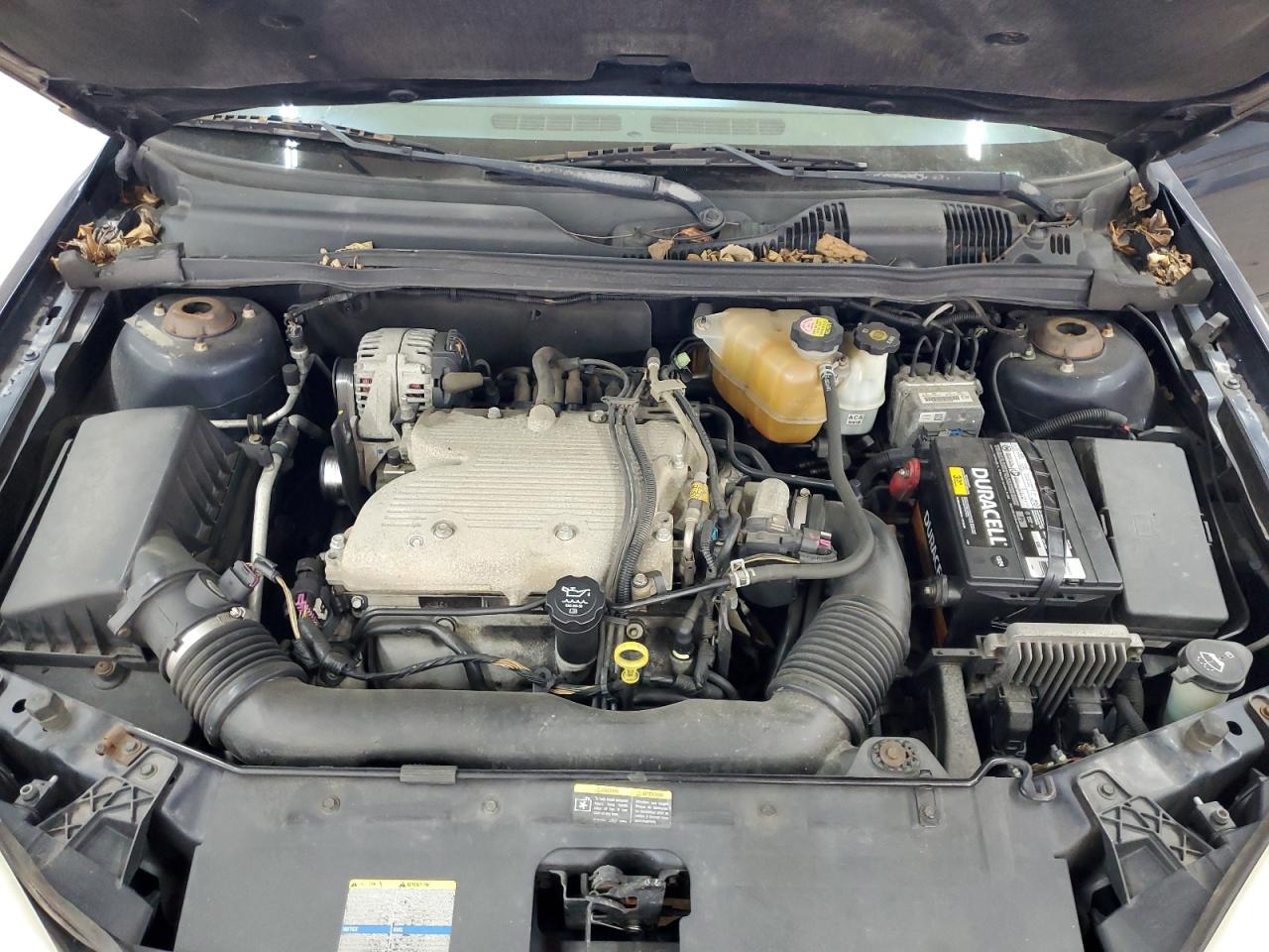 2007 Chevrolet Malibu Lt VIN: 1G1ZT58N37F102226 Lot: 93020595