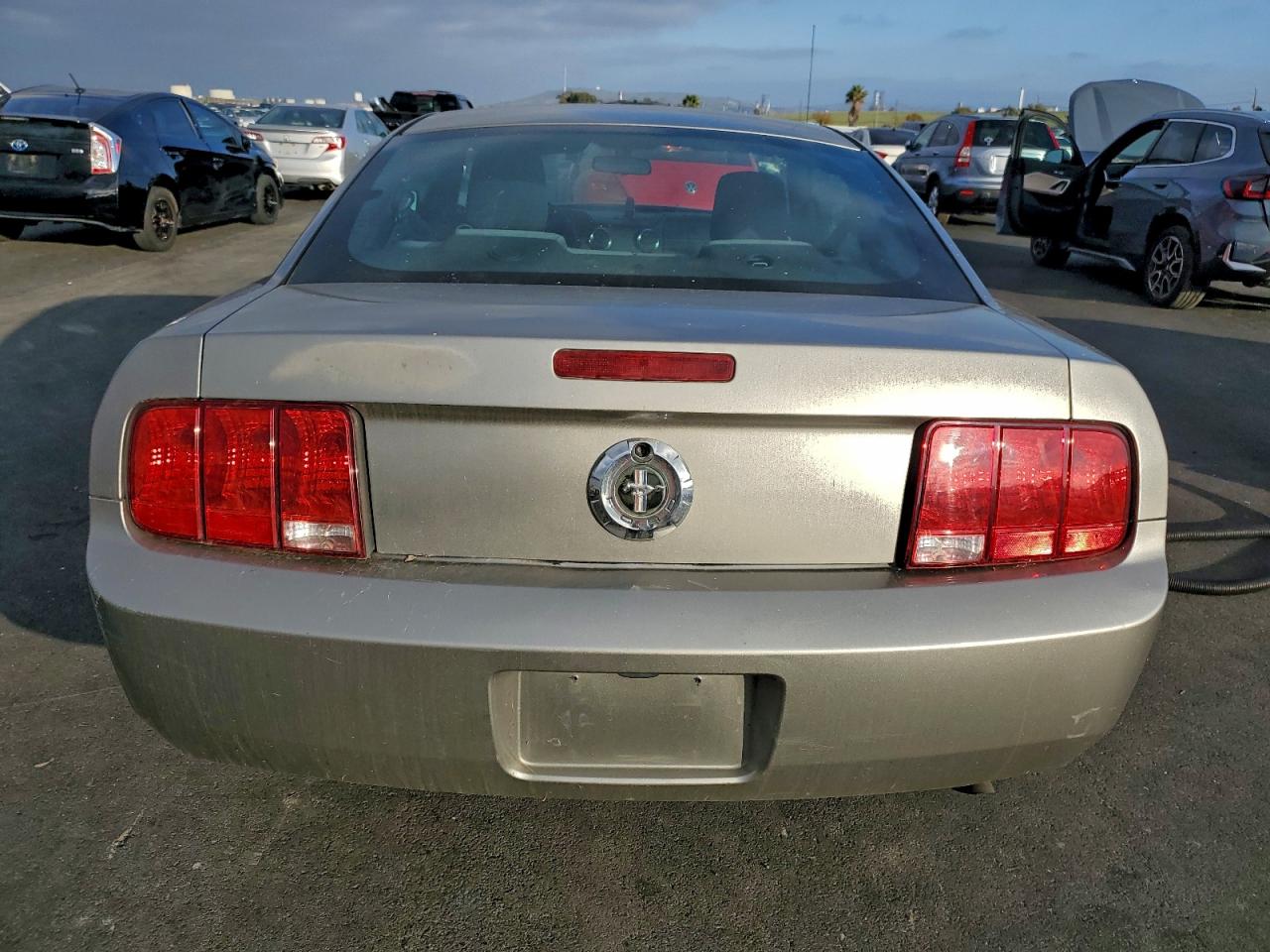 2009 Ford Mustang VIN: 1ZVHT80N995127041 Lot: 93972565