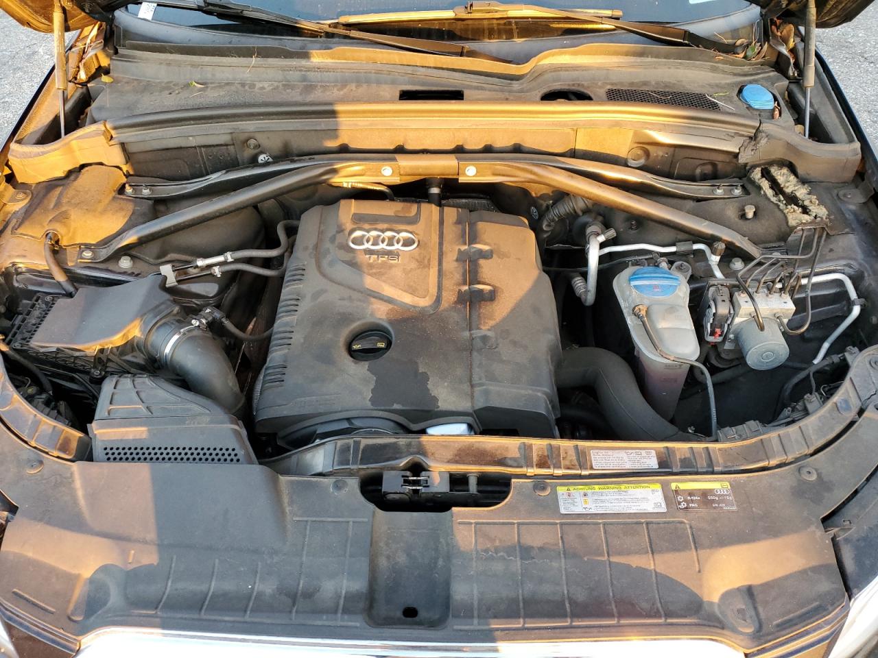 2014 Audi Q5 Premium Plus VIN: WA1LFAFP0EA100990 Lot: 93380535