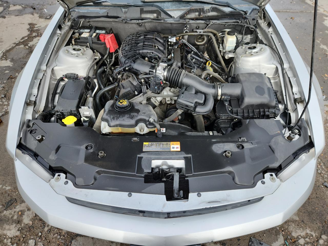 2012 Ford Mustang VIN: 1ZVBP8AM9C5243525 Lot: 92308675