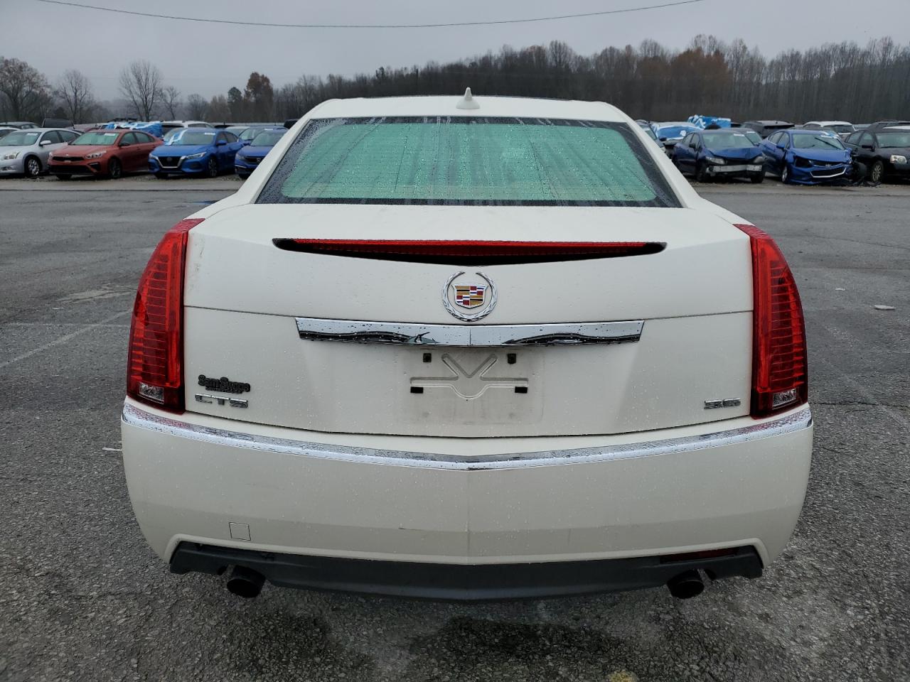 2010 Cadillac Cts Performance Collection VIN: 1G6DJ5EV5A0131199 Lot: 93416115
