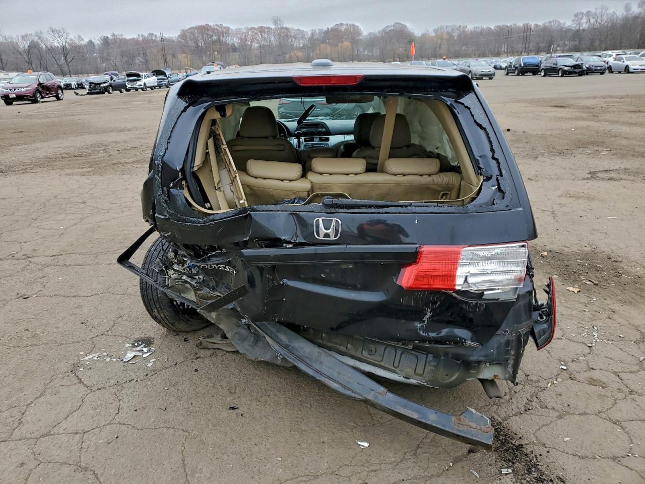 2009 Honda Odyssey Exl VIN: 5FNRL38619B045164 Lot: 93552305