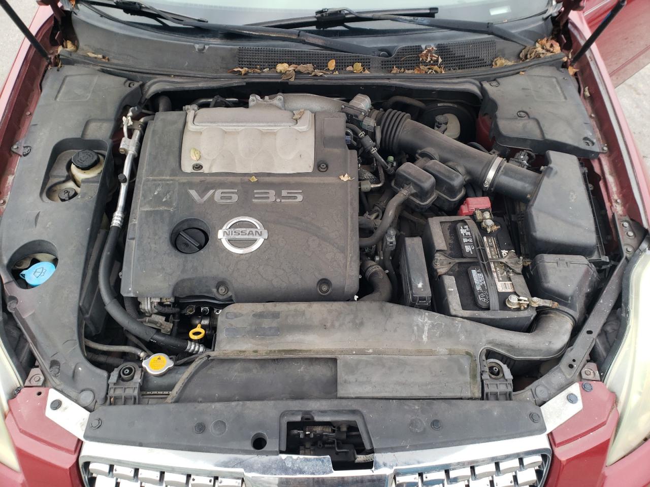 2005 Nissan Maxima Se VIN: 1N4BA41E05C856806 Lot: 91821745