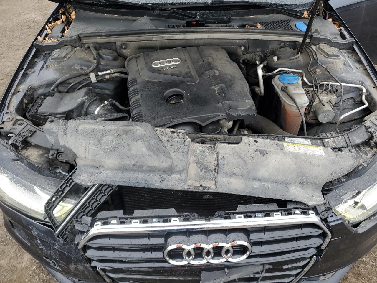 2016 Audi A4 Progressiv Plus VIN: WAUFFCFL8GN003315 Lot: 91248825