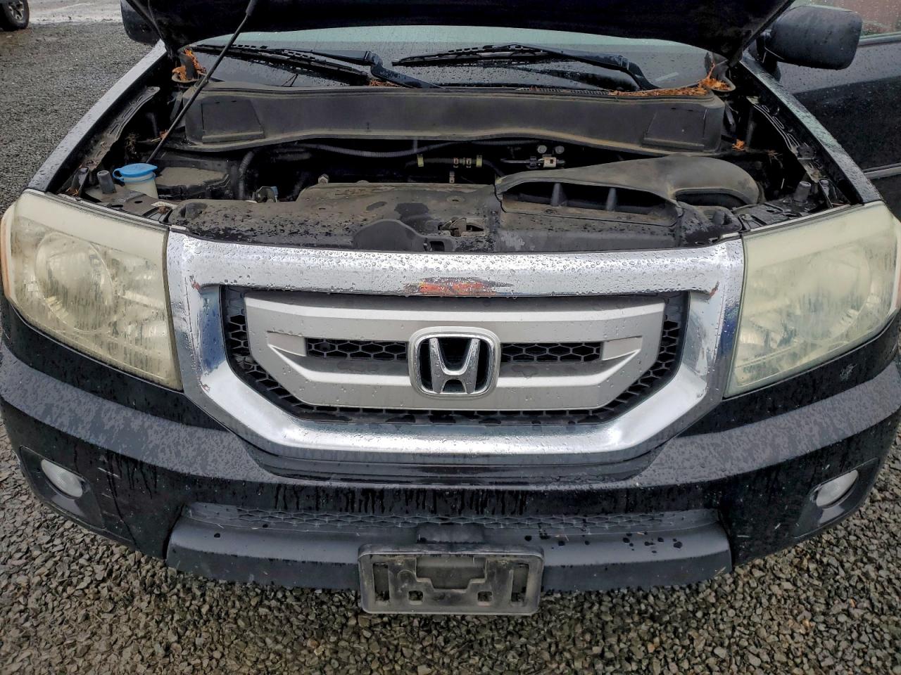 2009 Honda Pilot Touring VIN: 5FNYF48979B504619 Lot: 94499265