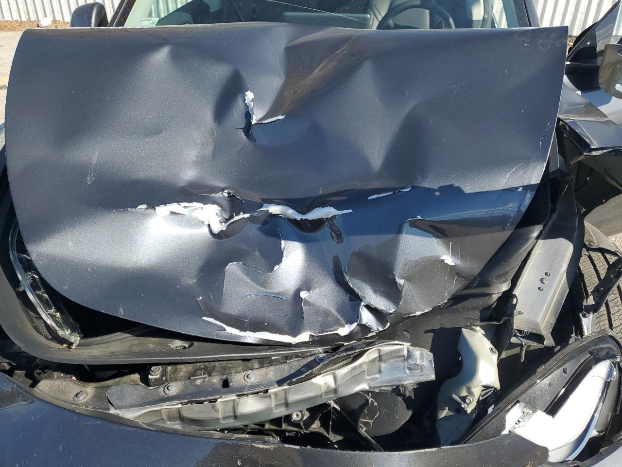 2023 Tesla Model Y VIN: 7SAYGDEE1PA208426 Lot: 91897695