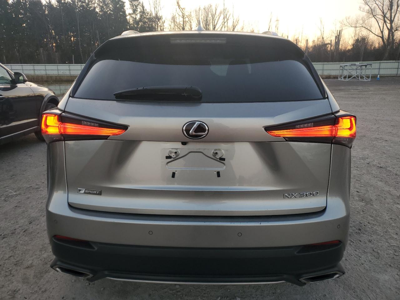 2019 Lexus Nx 300 Base VIN: JTJBARBZ7K2203946 Lot: 93303075
