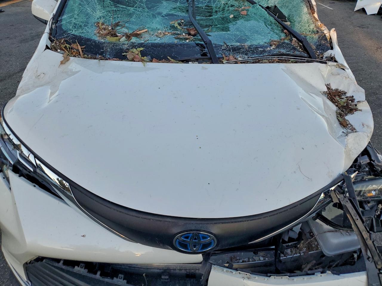 2021 Toyota Sienna Xle VIN: 5TDYRKEC5MS030153 Lot: 94401585