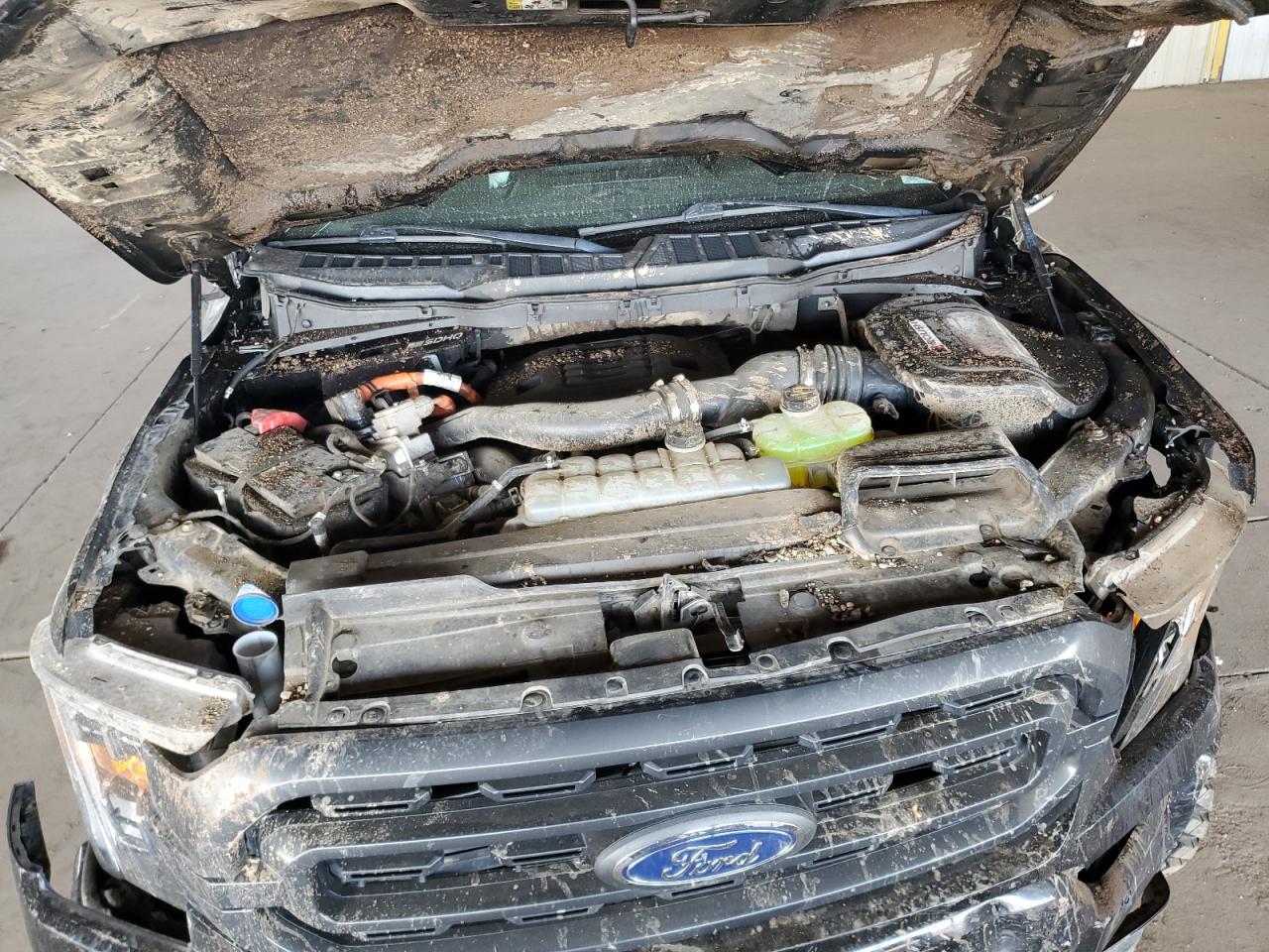 2022 Ford F150 Supercrew VIN: 1FTFW1ED5NFA14247 Lot: 92466035