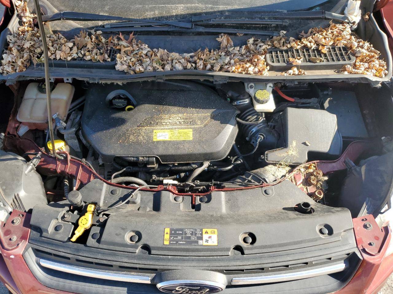 2014 Ford Escape Se VIN: 1FMCU0GX4EUC93577 Lot: 85432885