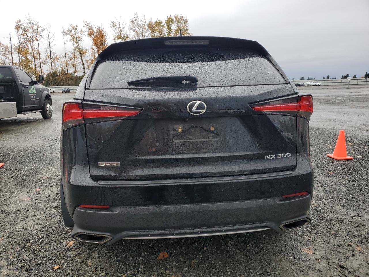 2019 Lexus Nx 300 Base VIN: JTJBARBZ2K2186280 Lot: 91725635
