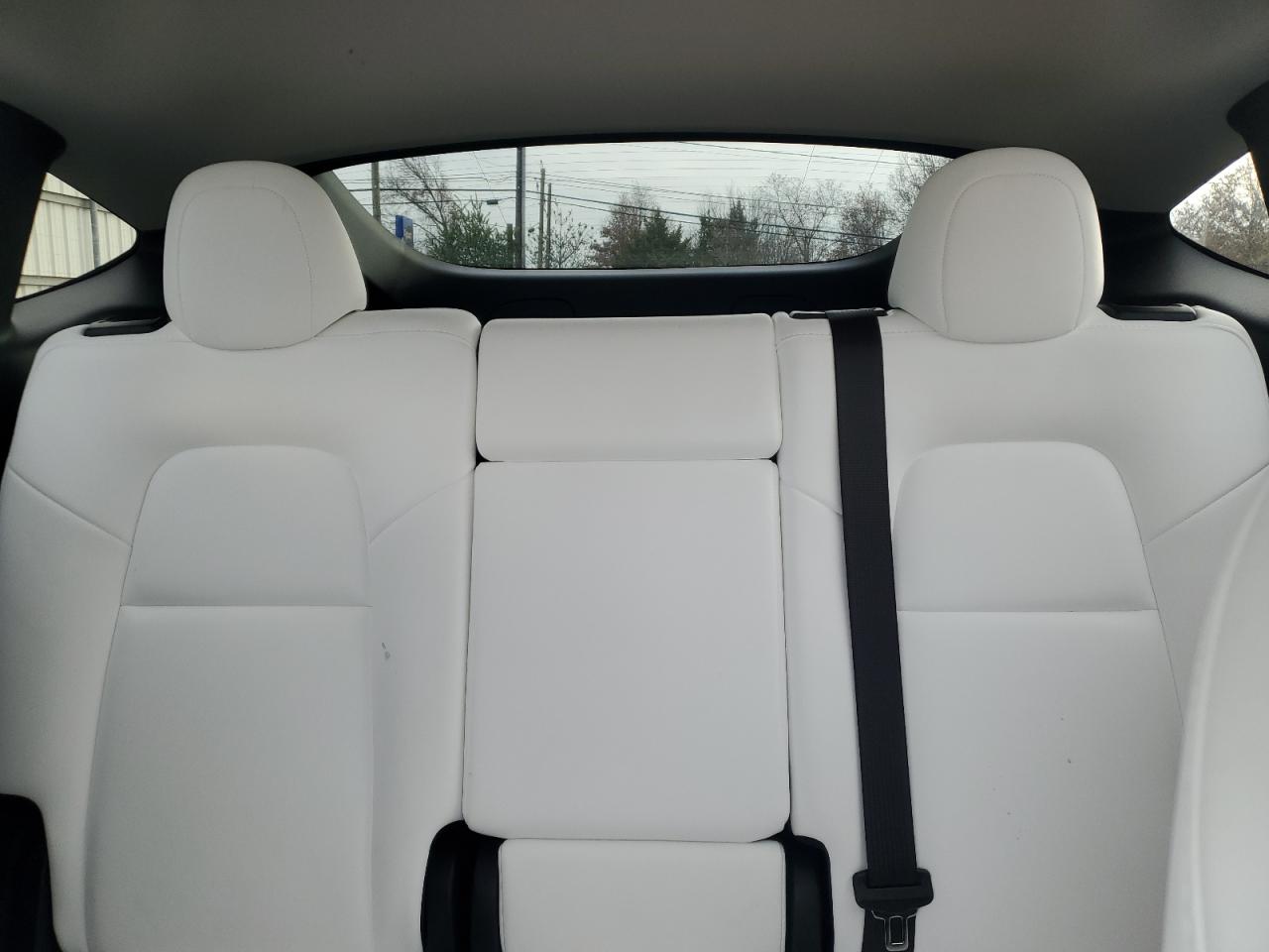 2024 Tesla Model Y VIN: 7SAYGDEE0RF201151 Lot: 93516755