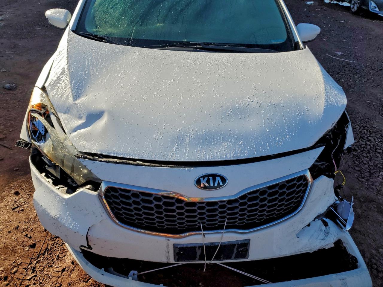 2016 Kia Forte Lx VIN: KNAFK4A67G5573888 Lot: 94099285