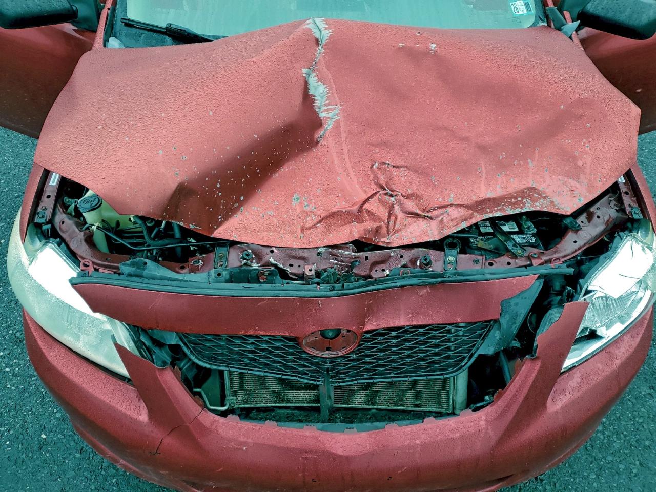 2009 Toyota Corolla Base VIN: 1NXBU40E89Z043664 Lot: 93633605