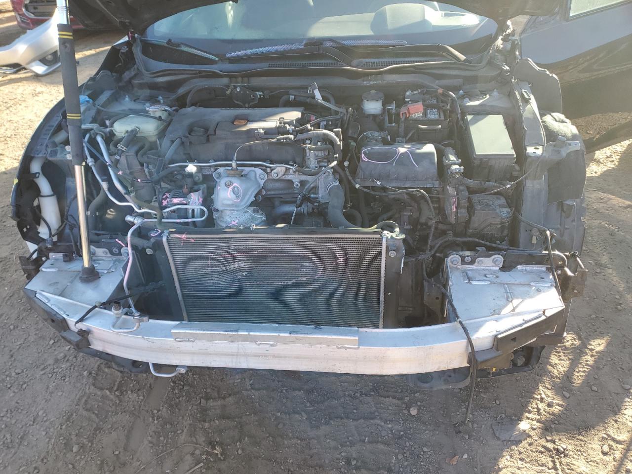 2019 Honda Civic Lx VIN: 2HGFC2F62KH526560 Lot: 92227305