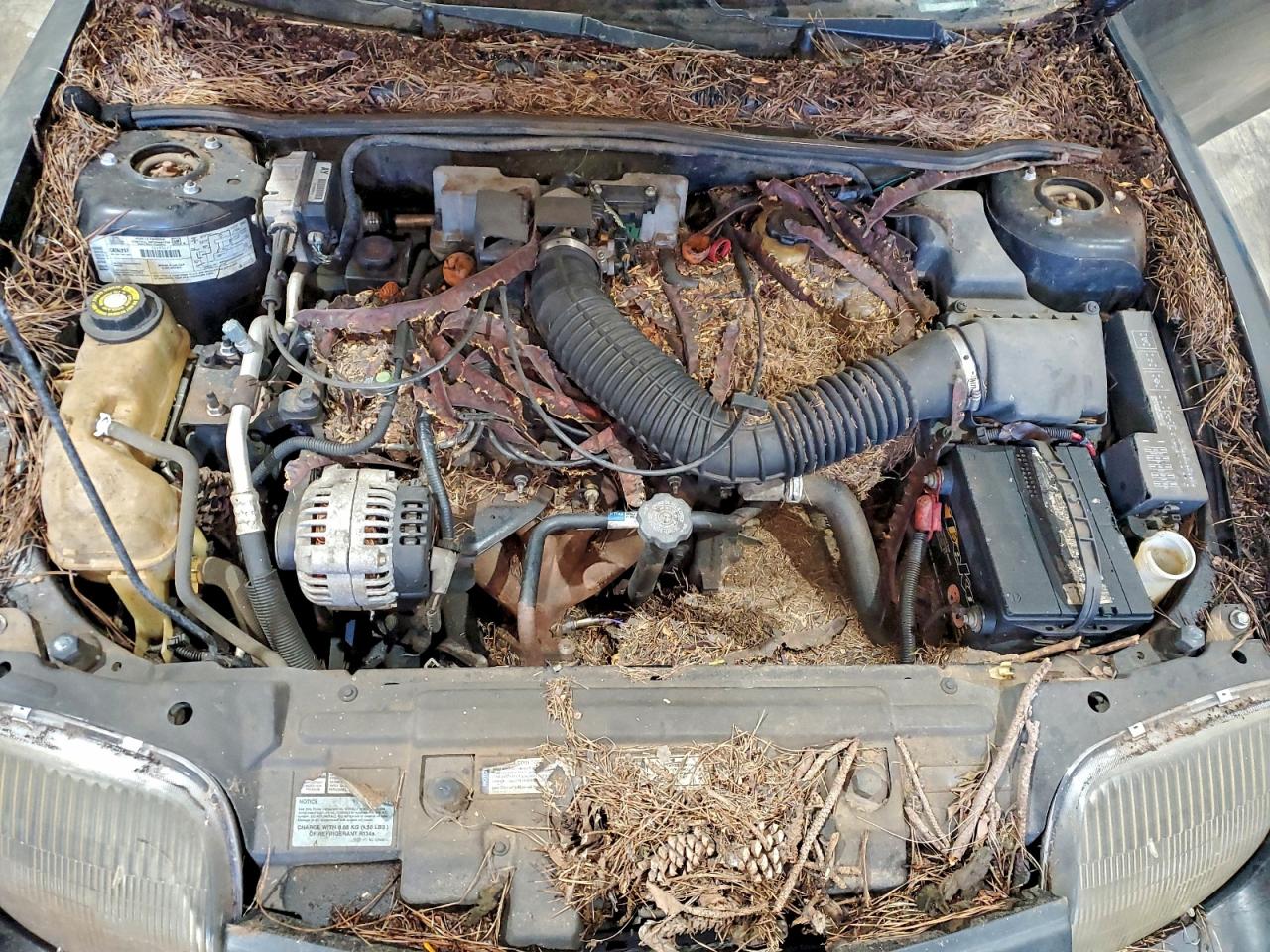 2000 Pontiac Sunfire VIN: 1G2JD1242T7513061 Lot: 93979185