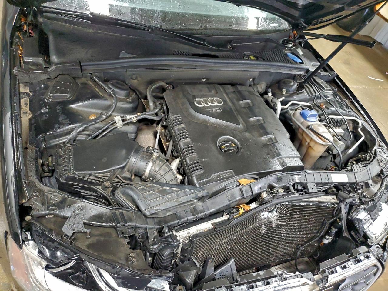 2013 Audi A4 Premium Plus VIN: WAUFFAFL2DN022488 Lot: 93496855