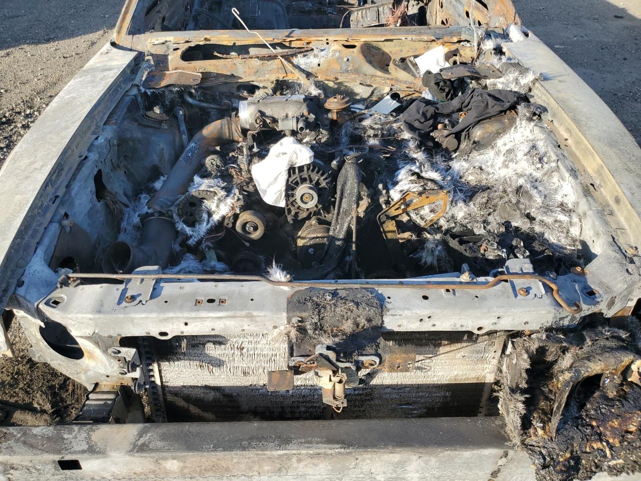 2001 Ford Mustang Gt VIN: 1FAFP45X81F137596 Lot: 91314475