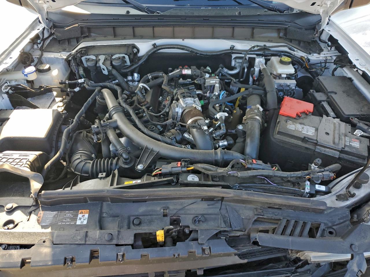 2023 Ford Bronco Base VIN: 1FMEE5DP1PLB81884 Lot: 94325785