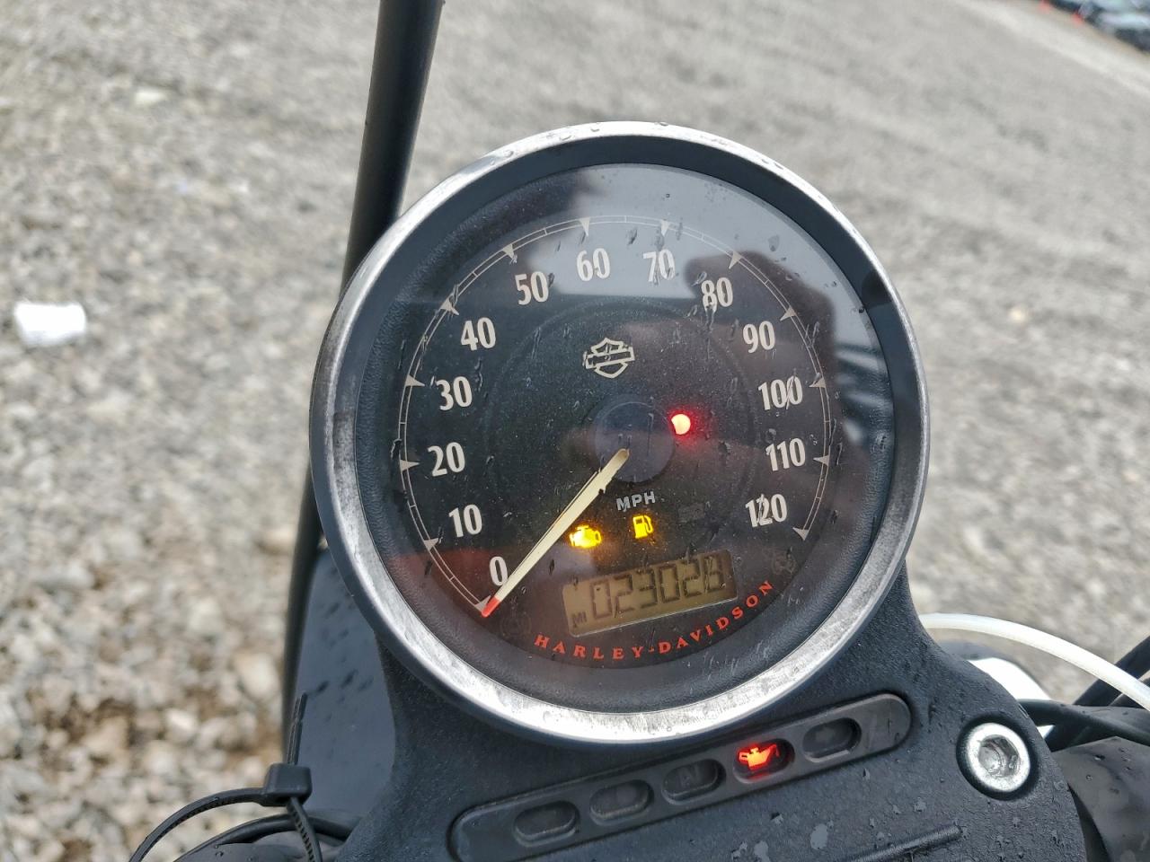 2014 Harley-Davidson Xl883 Iron 883 VIN: 1HD4LE212EC418947 Lot: 94084345