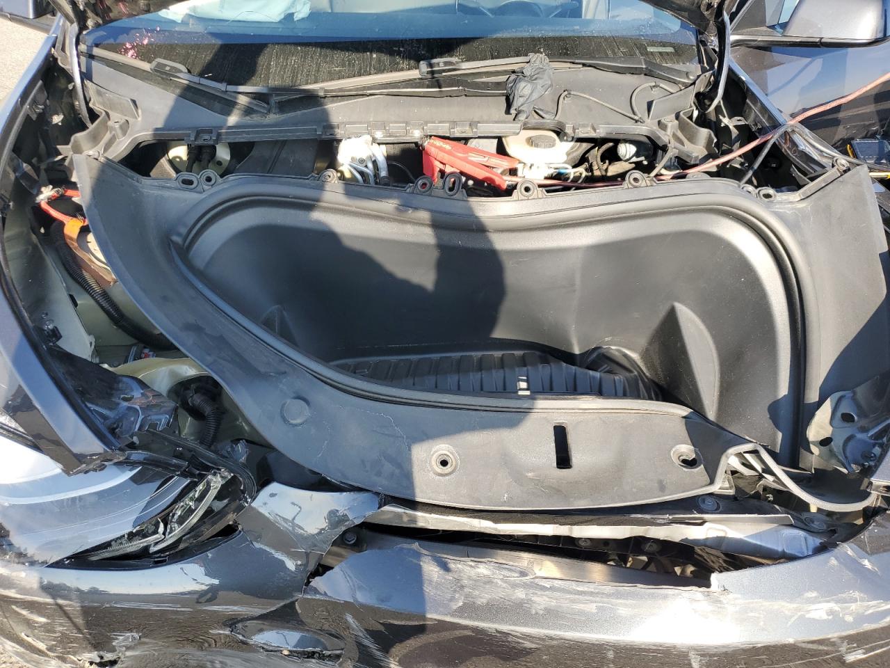 2024 Tesla Model Y VIN: 7SAYGDED9RF113822 Lot: 91005245