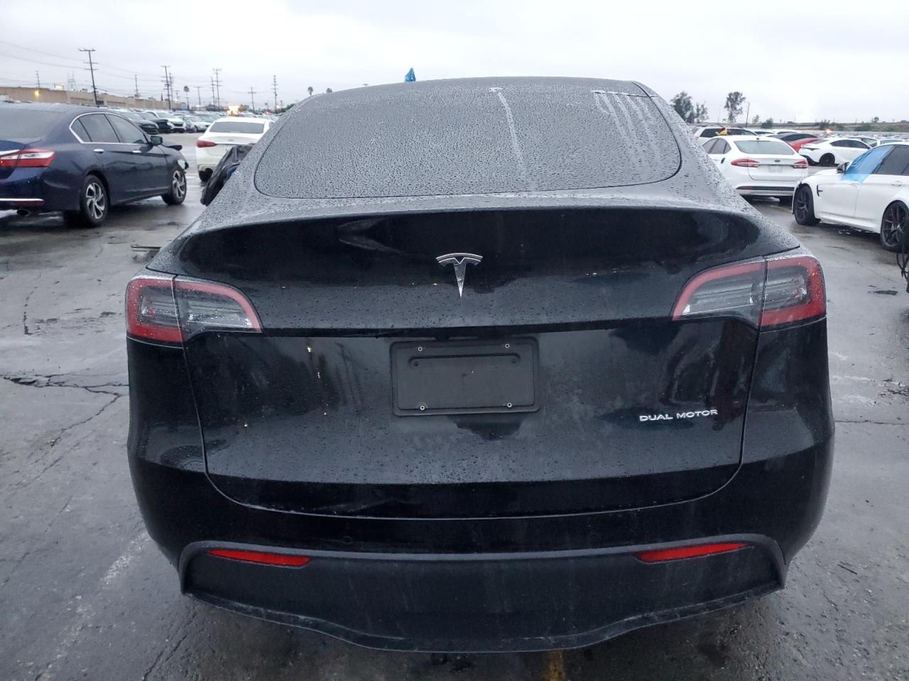 2022 Tesla Model Y VIN: 7SAYGAEE7NF488173 Lot: 93056855