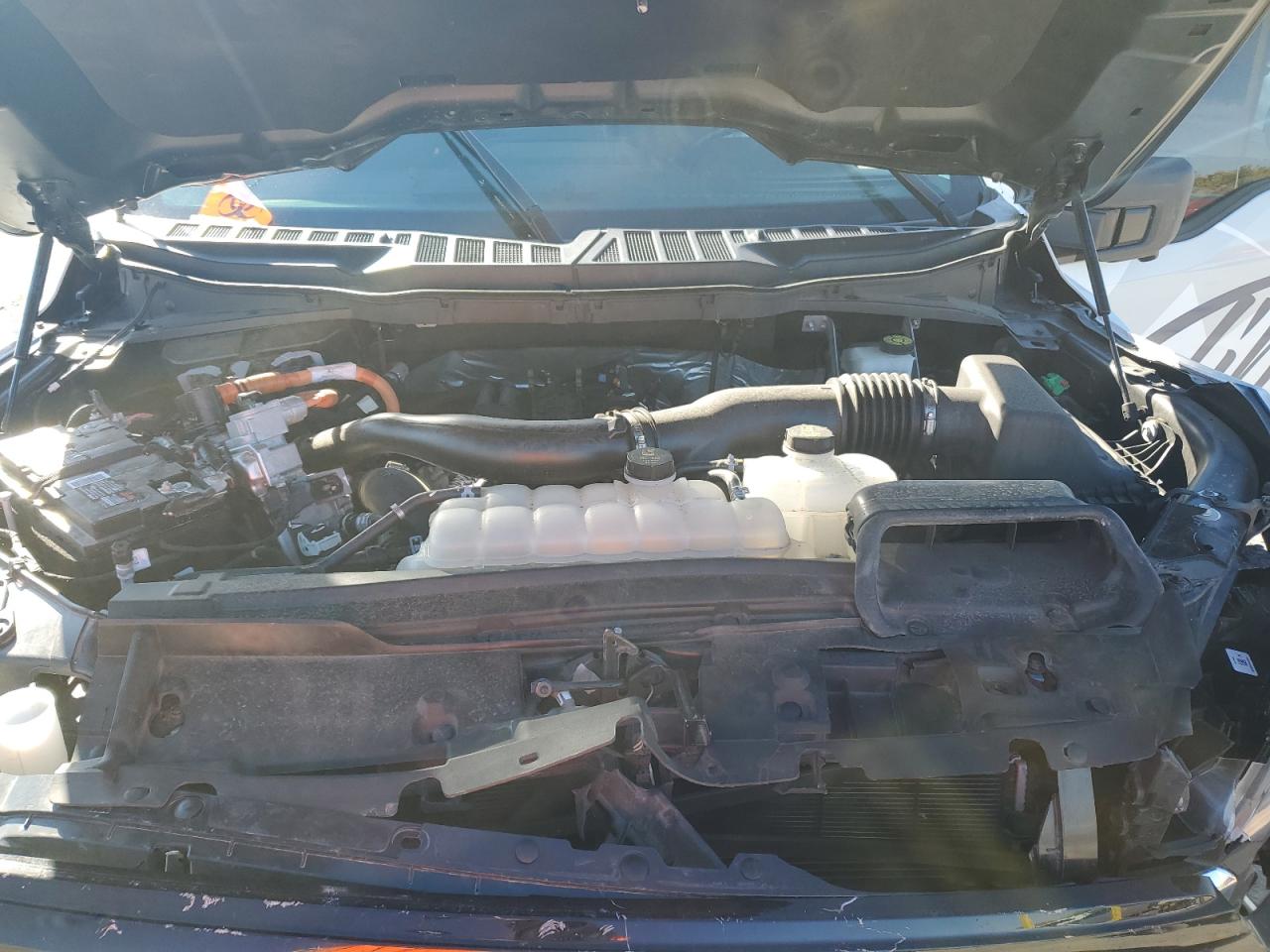 2024 Ford F150 Xlt VIN: 1FTFW3LD4RFA44148 Lot: 91002665