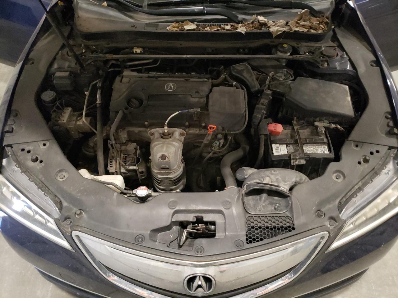 2015 Acura Tlx Tech VIN: 19UUB1F56FA007107 Lot: 93604365