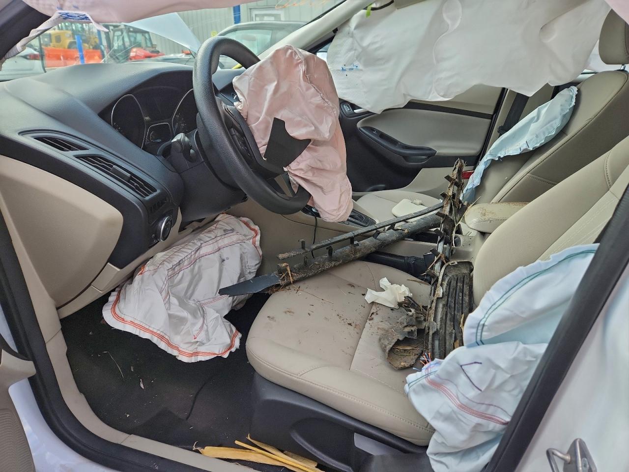 2016 Ford Focus Se VIN: 1FADP3K29GL213511 Lot: 94357295