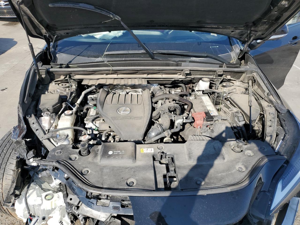 2022 Lexus Nx 350 VIN: JTJKGCEZ3N2003075 Lot: 92433295