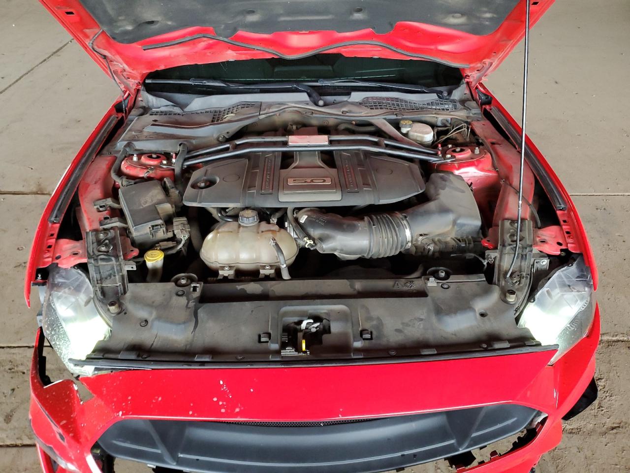 2019 Ford Mustang Gt VIN: 1FA6P8CF6K5119476 Lot: 93772145