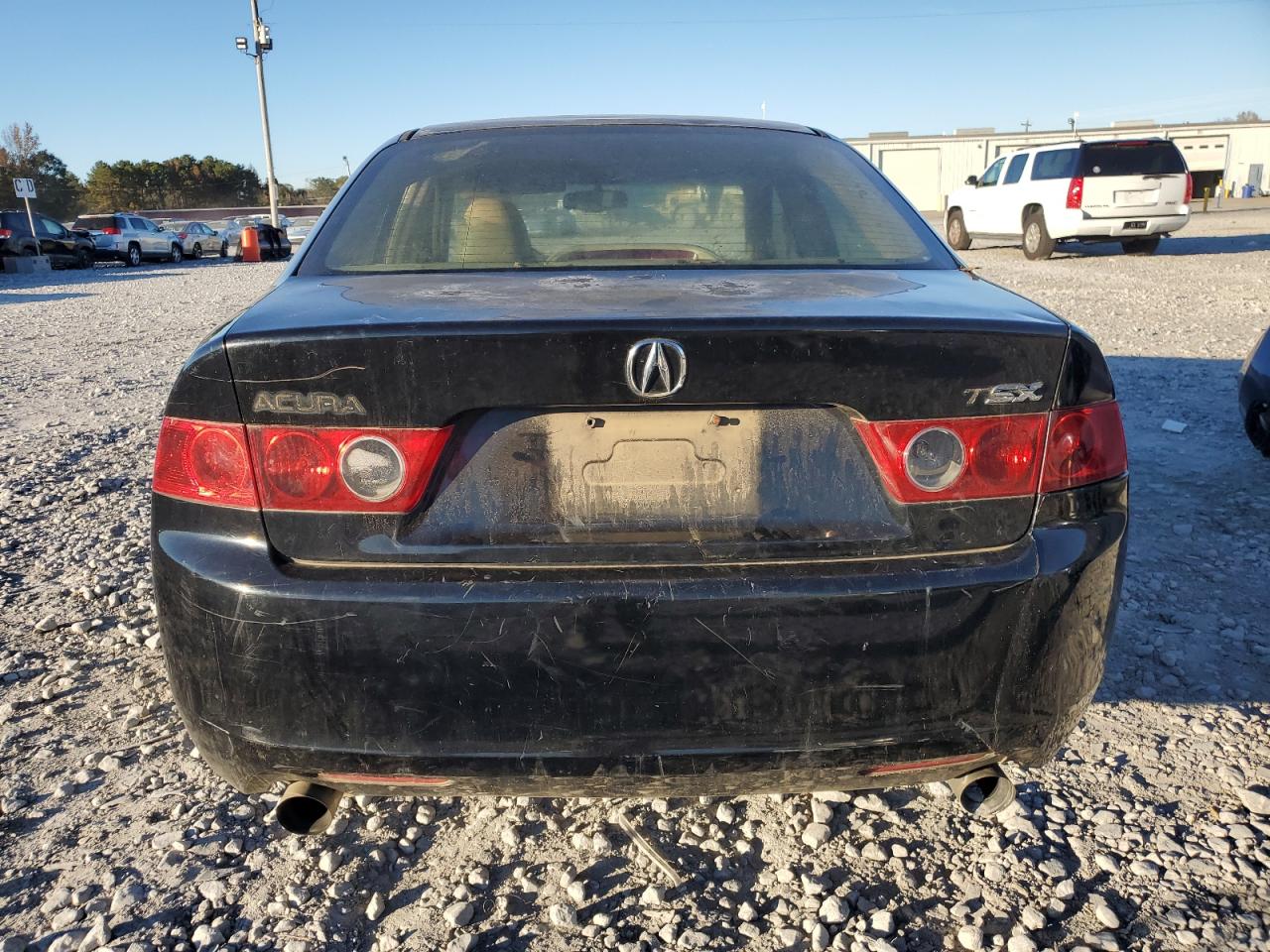 2004 Acura Tsx VIN: JH4CL96804C032861 Lot: 92103435