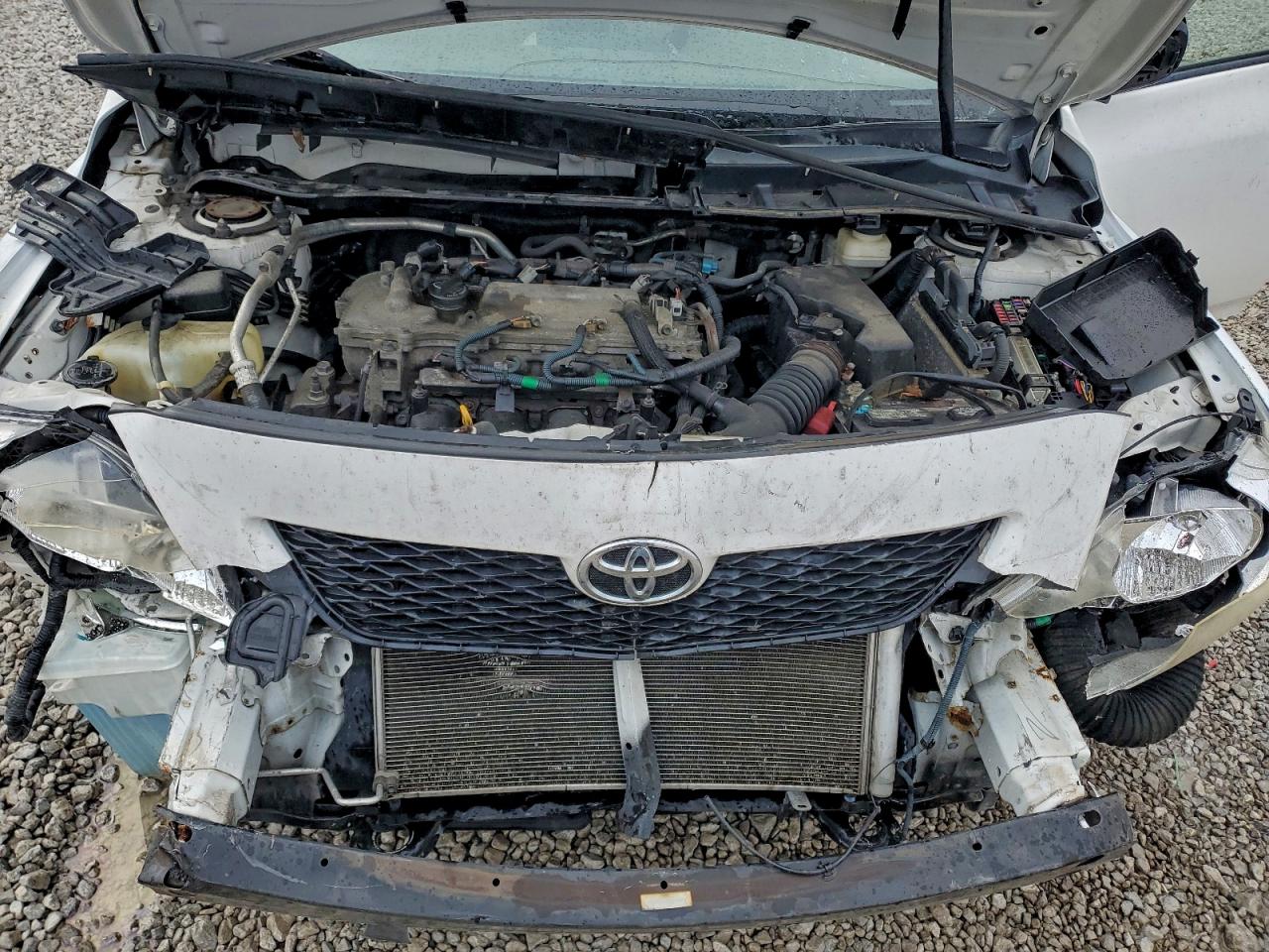 2010 Toyota Corolla Base VIN: 1NXBU4EEXAZ280878 Lot: 93735065