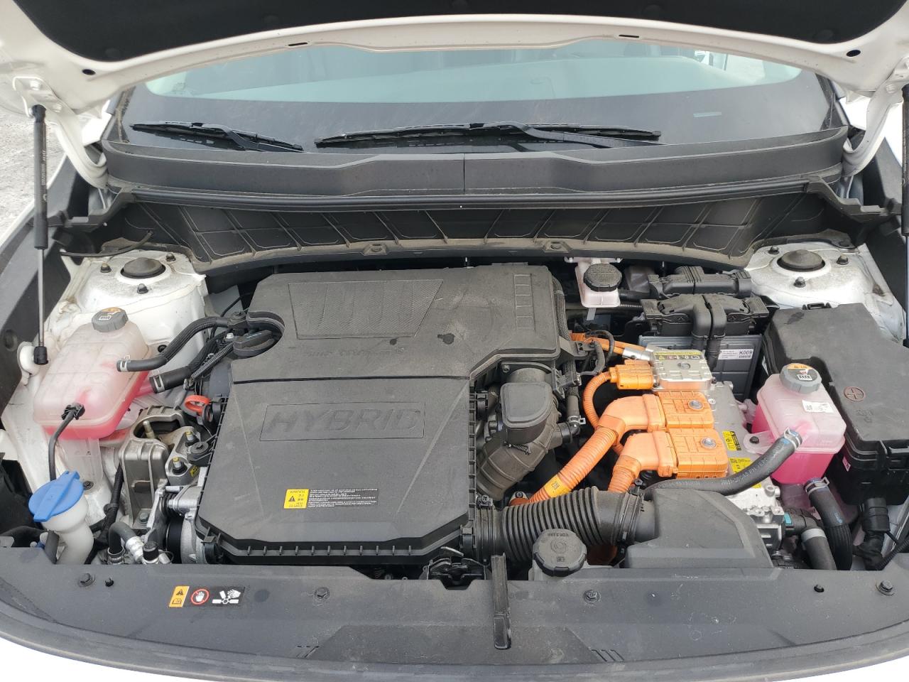 2024 Kia Niro Ex VIN: KNDCR3LE4R5155369 Lot: 92667895